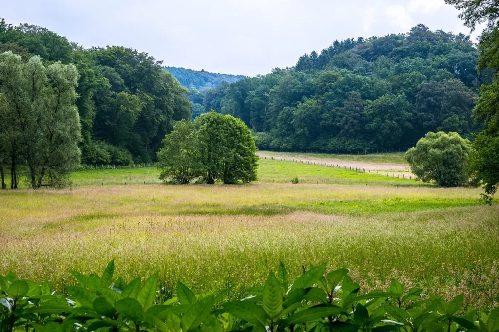 Wanderweg im Bergischen Land
